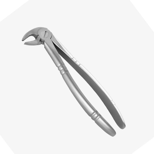 Forceps d'extraction à profil antidérapant pour incisives, canines et prémolaires mandibulaires