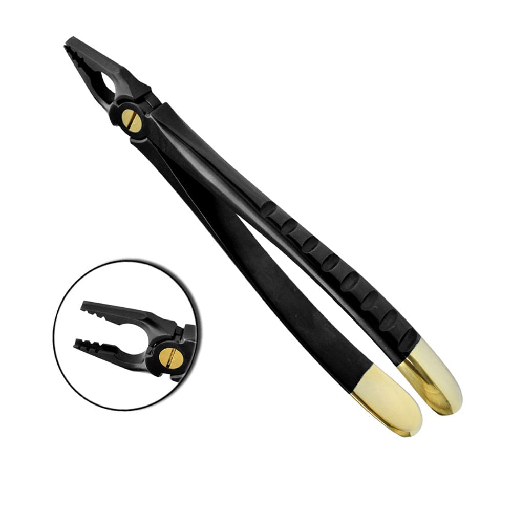 Davier d'extraction atraumatique Deep Grip, antérieures supérieures, série BLACK &amp; GOLD – Precision Dental, Extraction Forceps