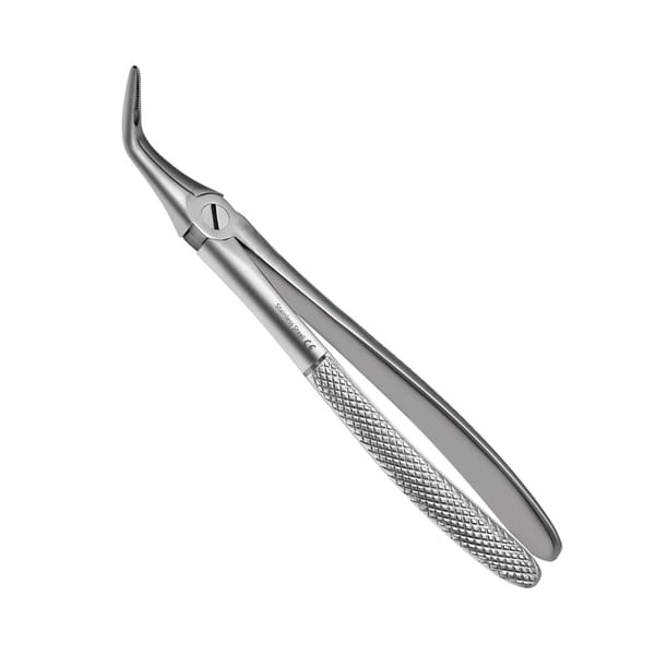 46L Forceps d'extraction des Racines, Modèle Anglais