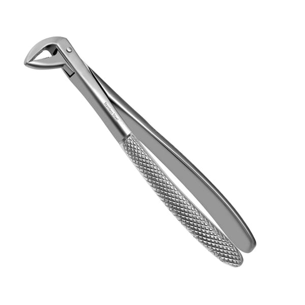 74 Forceps d'Extraction Radiculaire Modèle Anglais