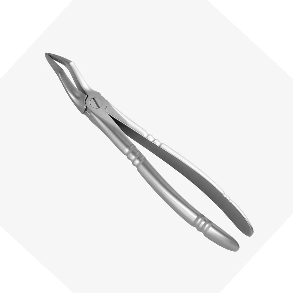Davier d'extraction à profil antidérapant pour racines supérieures – Precision Dental, Extraction Forceps