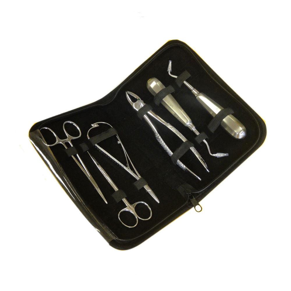 Kit d'extraction et de suture dentaire – Set de 6 instruments