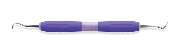 NV1 Anterior