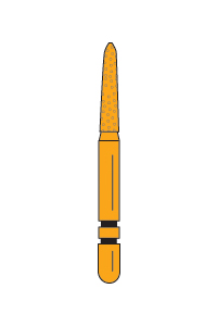 253.SA – GCP™ Gold-Plated Curettage – Premier Dental, Diamond Burs