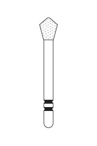 2 Skooter™ – Acorn