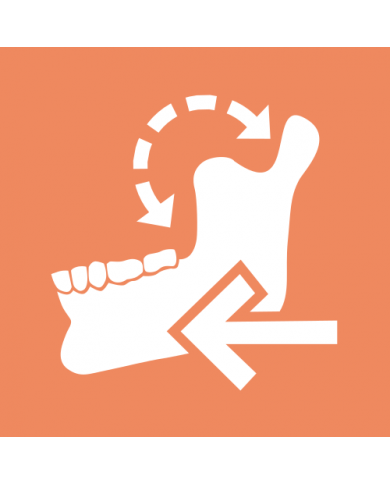 Jaw Motion Import