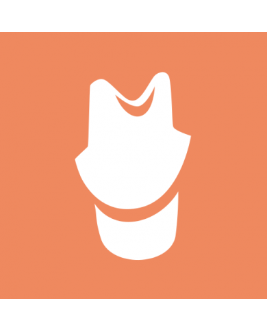 Implant module / Custom abutments