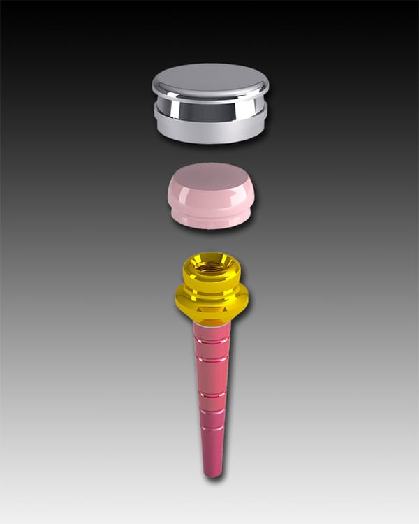 OT Equator Direct Root Overdenture