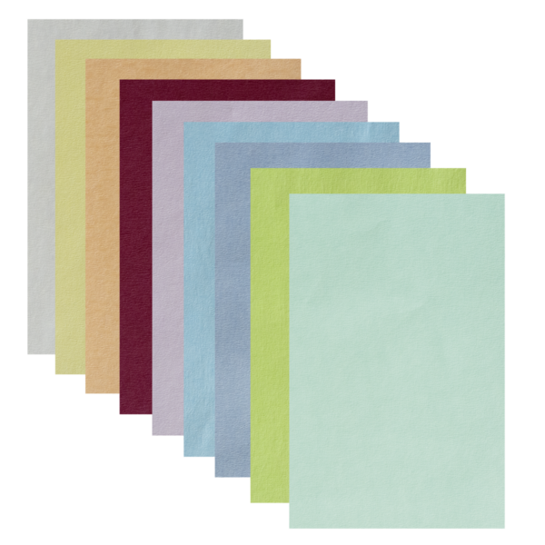 Tray-Filterpapier