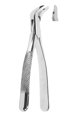 Extracting Forceps American pattern – Shahab Surgical Industries, Extraction Forceps