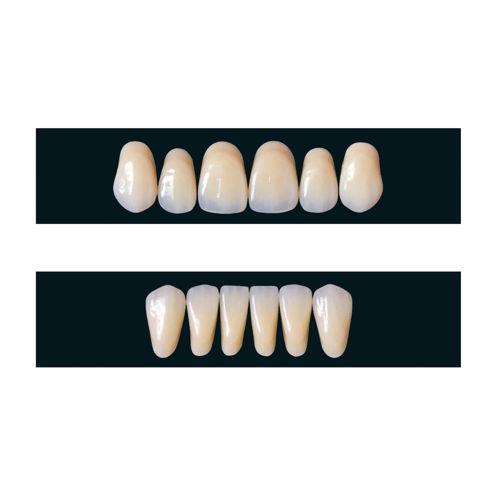 Veracia – SHOFU DENTAL, Preformed Crowns
