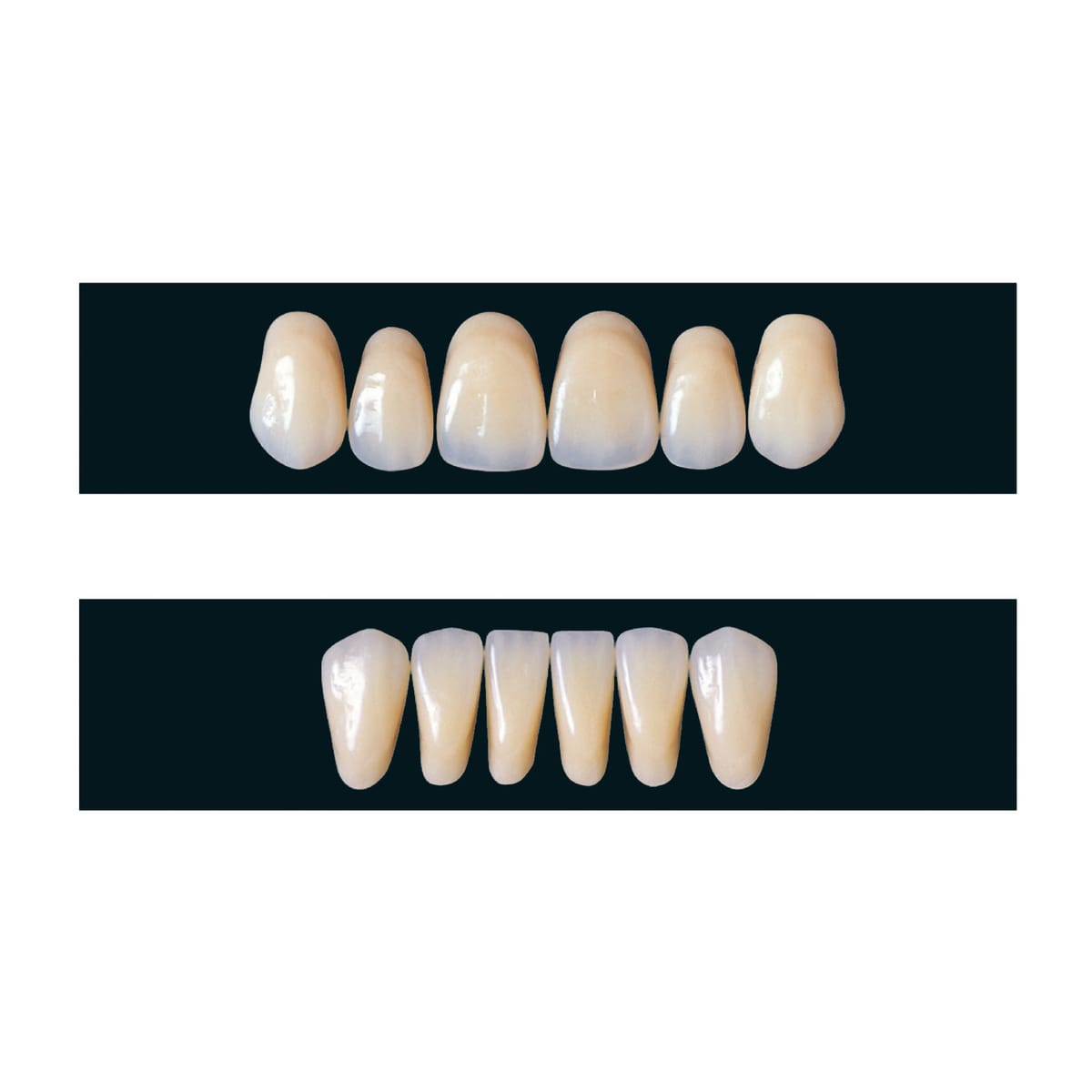 Veracia – SHOFU DENTAL, Denture Resins