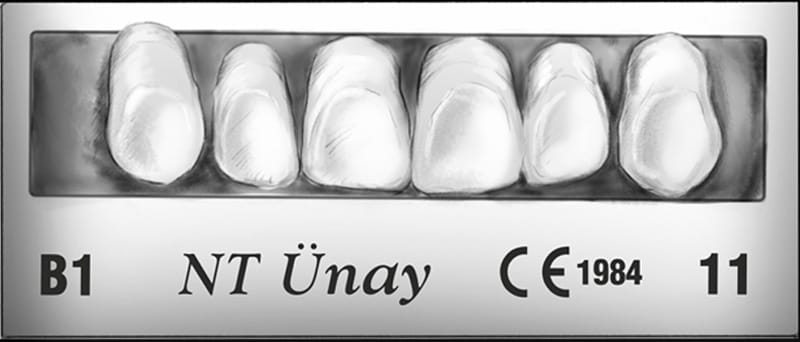 NT Optima Acrylprothesenzähne – TOROSDENTAL INS.ITH.IHR.SAN. VE TIC.A.S., Kunststoffe