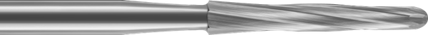 Amazilia