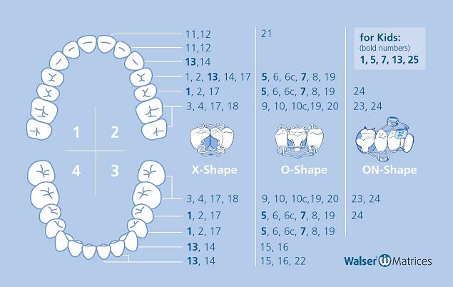 Matrices Sectionnelles Assortiments Walser – Dr. Walser Dental, Matrices & Matrix Systems
