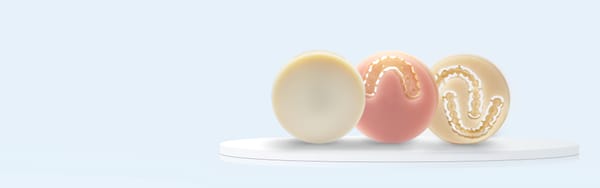Dental PMMA - Polymethyl Methacrylate