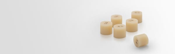 Yucera High Performance Porcelain Press