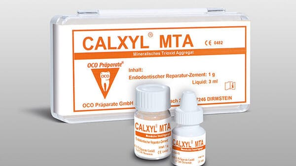 Endodontischer Reparaturzement CALXYL MTA
