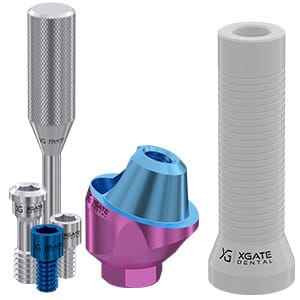 Set 17° angled multi unit abutment D-type with castable sleeve – XGATE DENTAL, Abutments