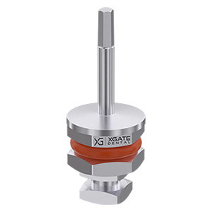 Ratchet screw driver for abutments