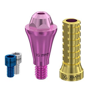 Set straight multi unit abutment D-type Conical Regular with temporary sleeve – XGATE DENTAL, Implantology