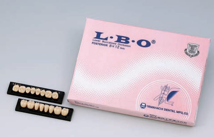 L.B.O – Yamahachi Dental MFG., CO., Denture Resins