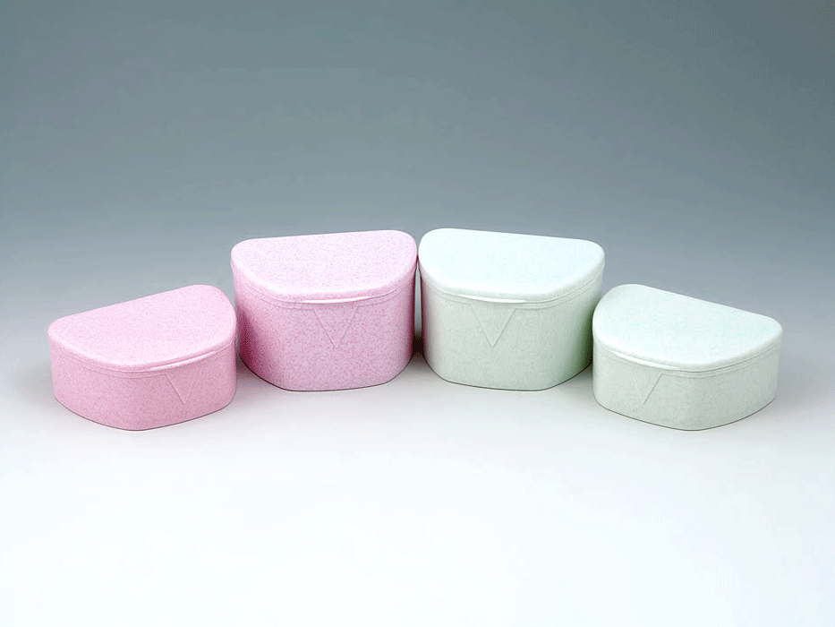 Denture Case