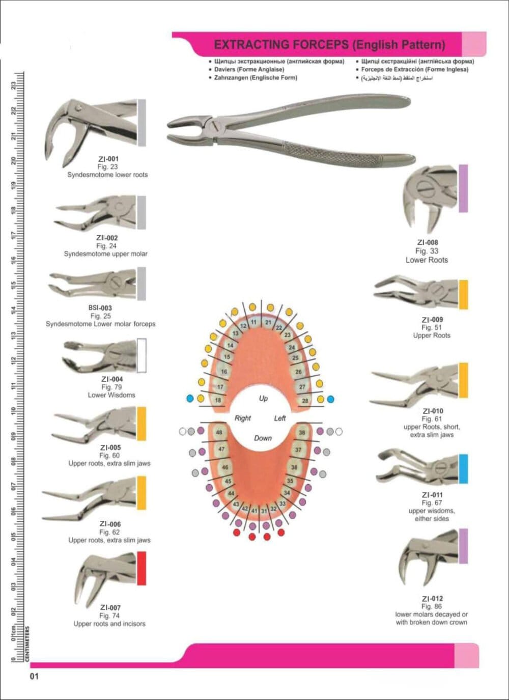 Extracting Forceps – Zaryab Instruments, Extraction Forceps