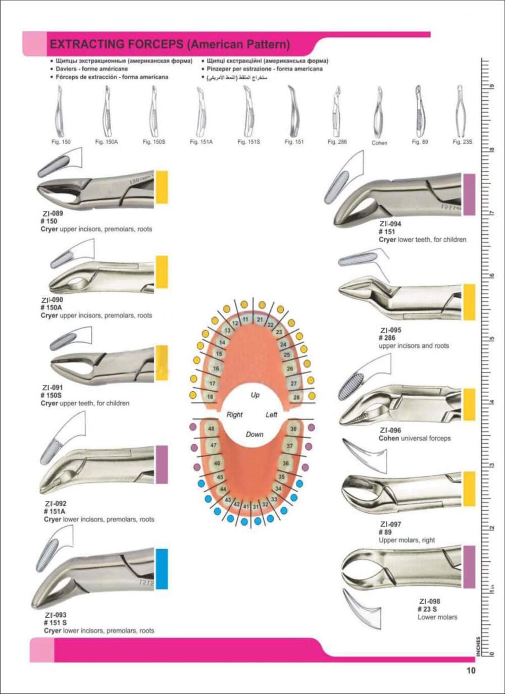 Extracting Forceps – Zaryab Instruments, Extraction Forceps