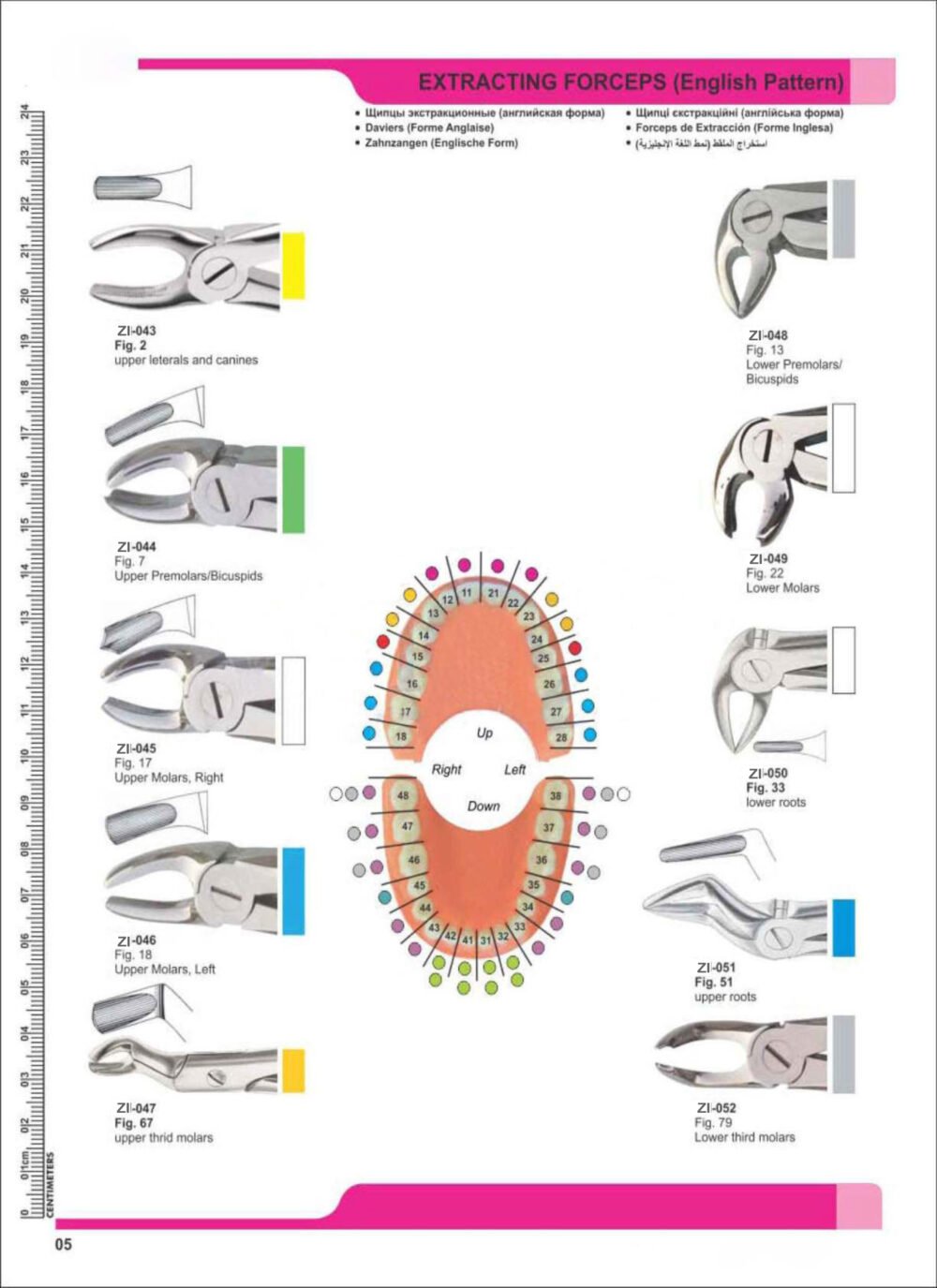 Extracting Forceps – Zaryab Instruments, Extraction Forceps
