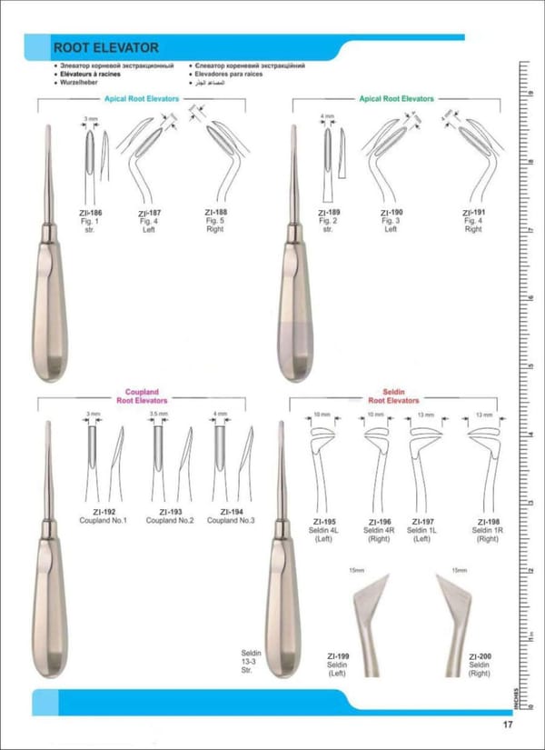 Root Elevators